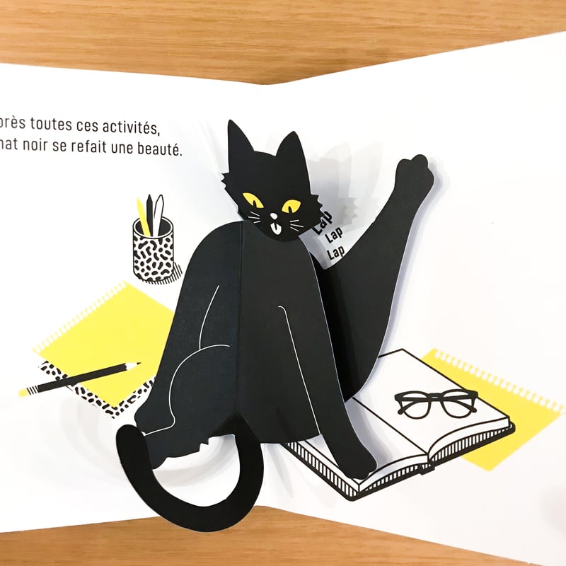 Chat noir | タバネルブックス