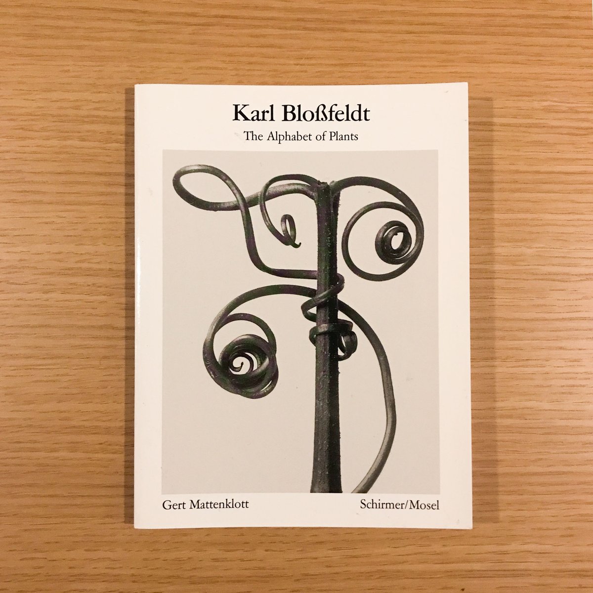 Karl Blossfeldt: The Alphabet of Plants | タバネルブックス Karl Blossfeldt: The Alphabet of Plants | タバネルブックス