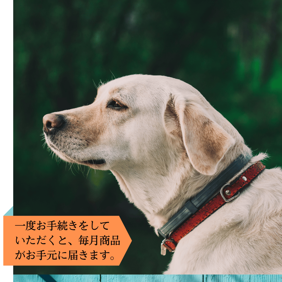 64925da67c077d00325d581b