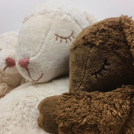 【SENGER  Naturwelt 】Cuddly Animal Sheep small / white