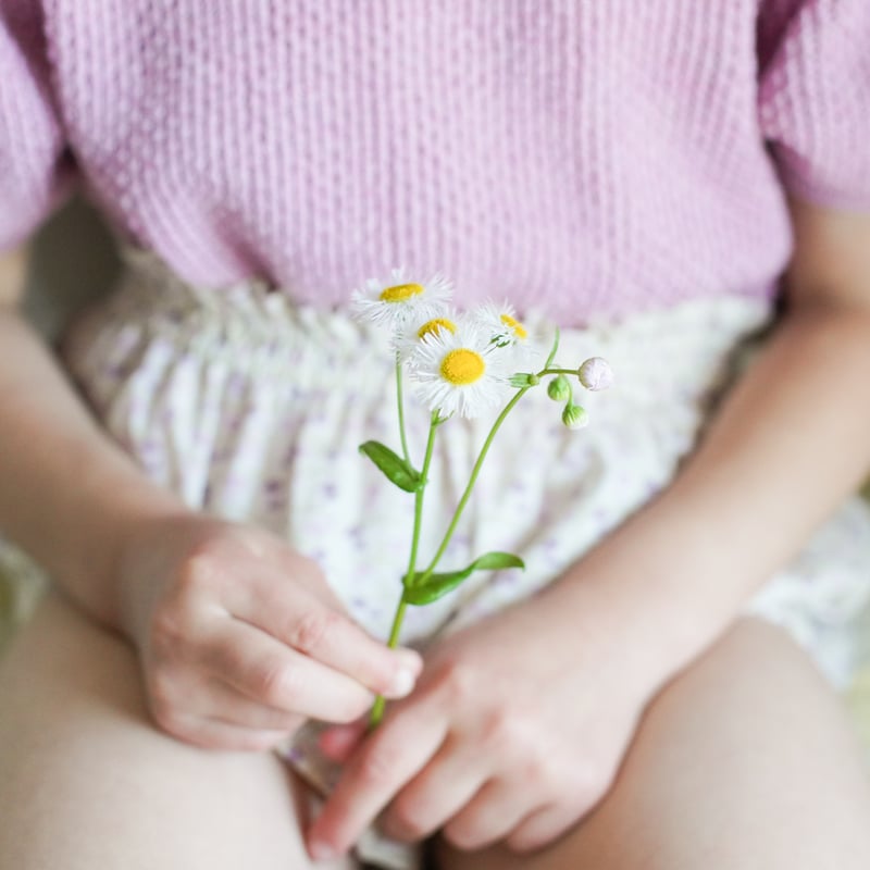 3月中旬入荷予定ご予約商品【 SOOR PLOOM 】Mimi Knit Top, Bubbl