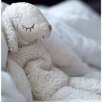 【SENGER  Naturwelt 】Cuddly Animal Sheep small / white