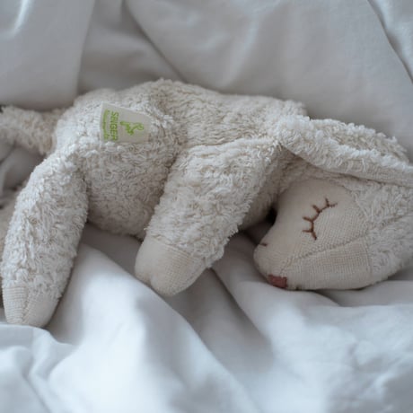 【SENGER  Naturwelt 】Cuddly Animal Sheep small / white