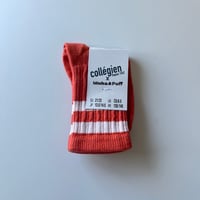 【 Collegien × Misha&Puff 】8470 Nico Ribbed Varsity Crew Socks - C40  POTIRON