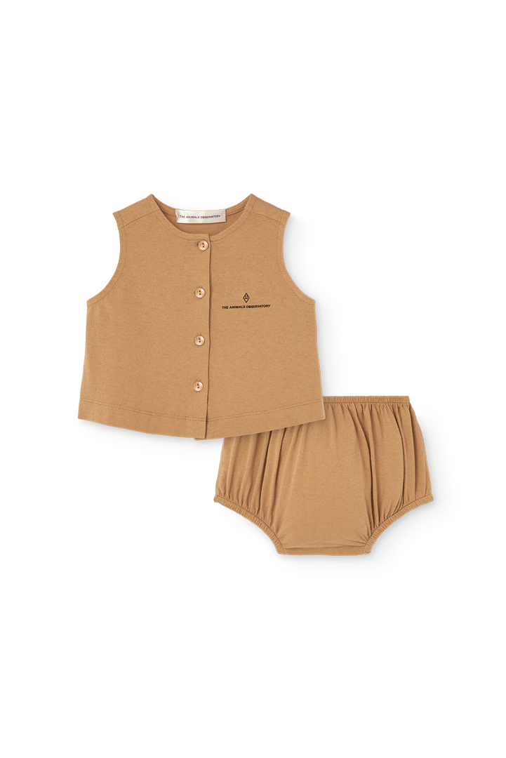 TheAnimalObservatory】SET NEWT BABY SET - CAMEL