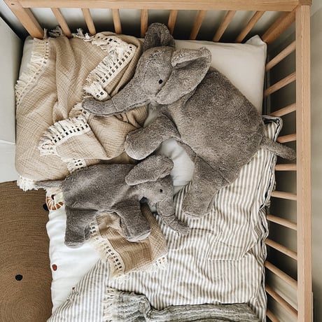 【SENGER  Naturwelt 】Cuddly Animal Elephant small