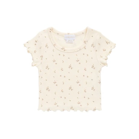 【 Jamie kay 】 JKCT262082 ﾘﾌﾞ半袖ﾄｯﾌﾟｽ Dina Antique OWHT （size 70~120）