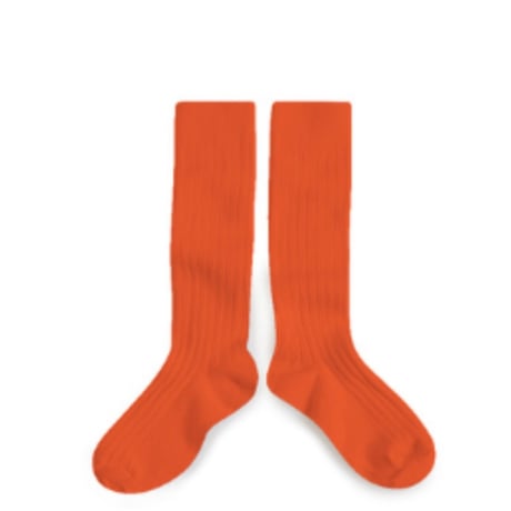 【Collegien × Misha&Puff 】2950 LA HAUTE  Ribbed High Socks - C40  POTIRON