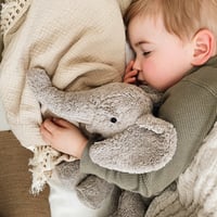 【SENGER  Naturwelt 】Cuddly Animal Elephant small