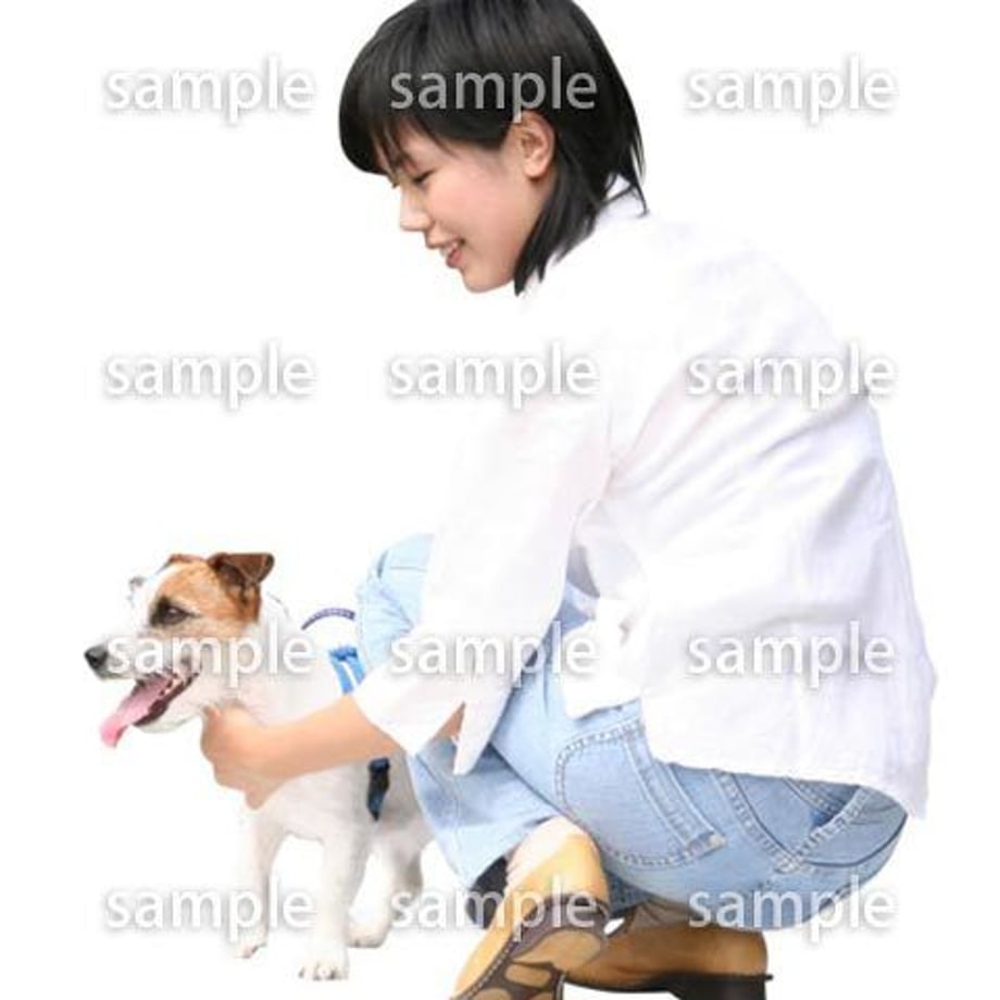 5b8383d050bbc337a20000e8