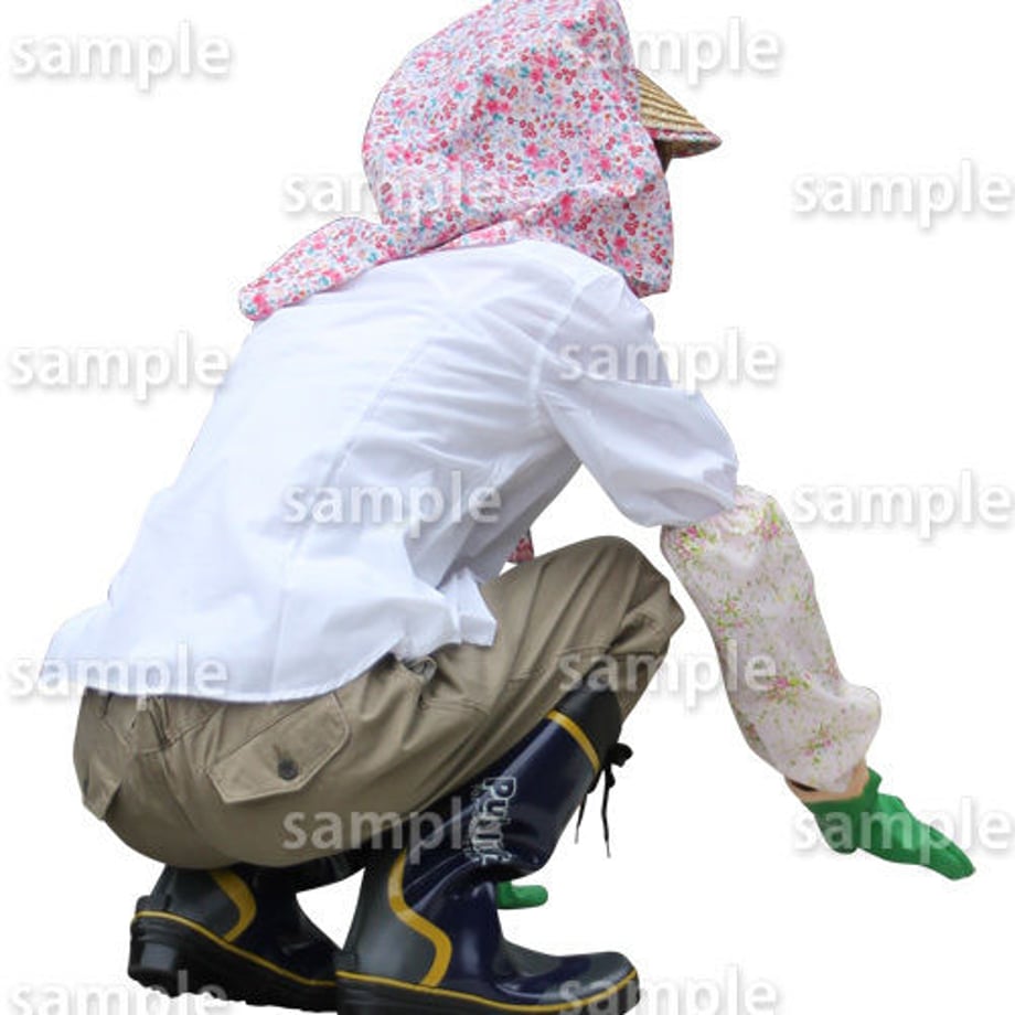 5bacb77b5f78667d2c000754