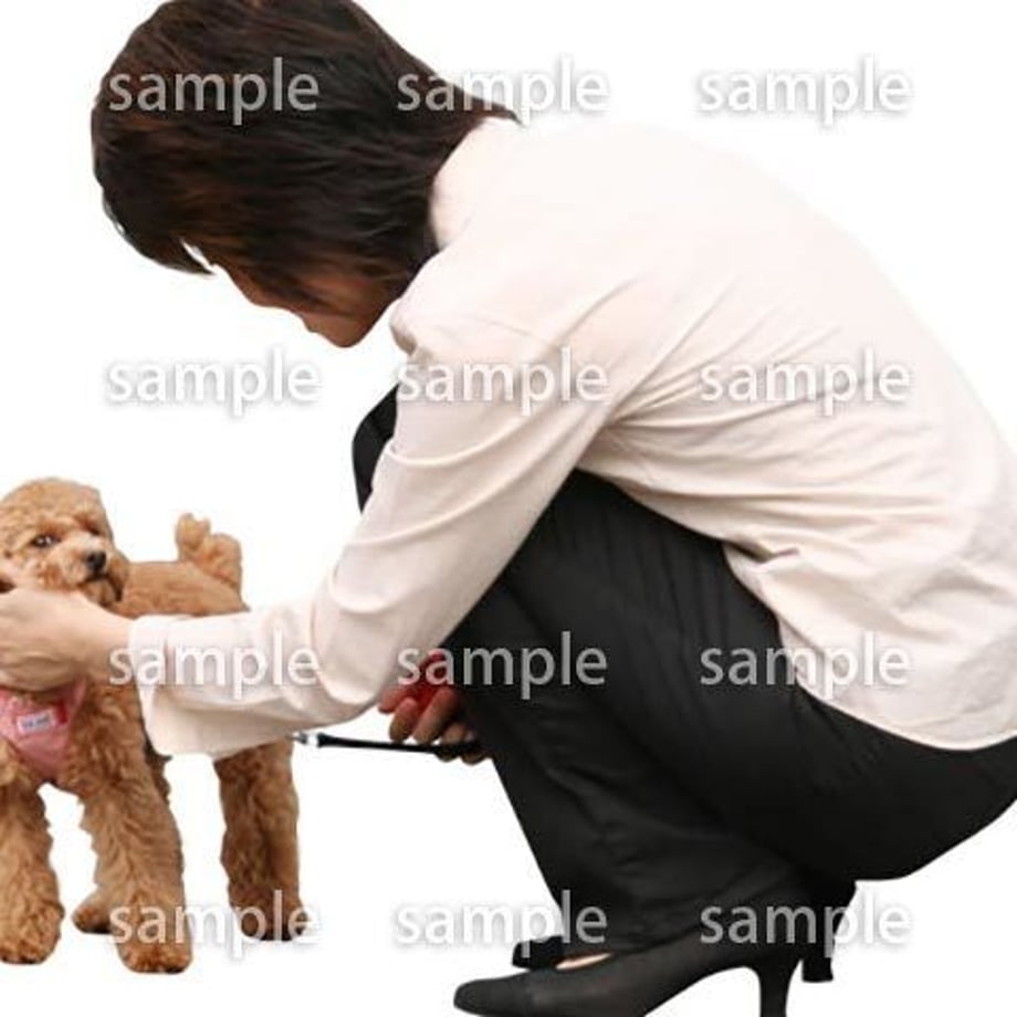 5b8373f05496ff4bc0000040