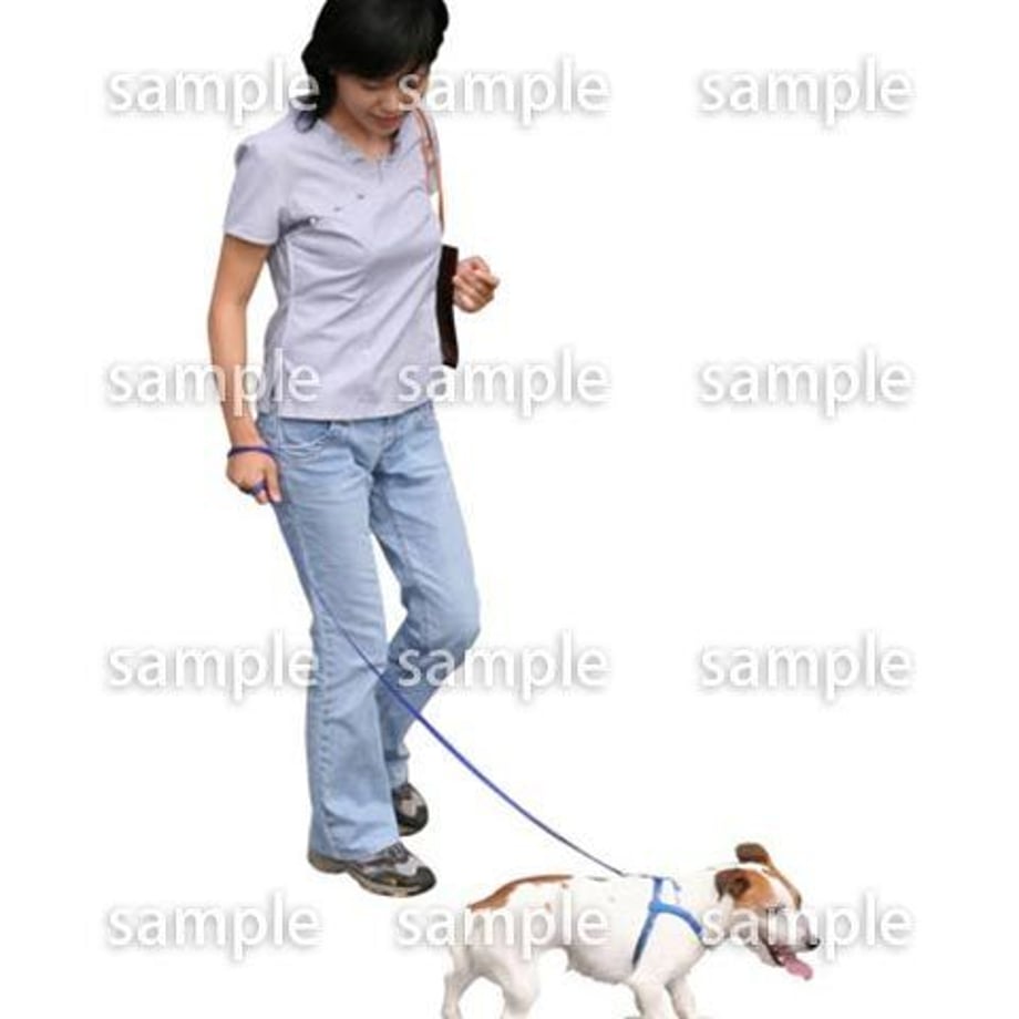 5b8bb245a6e6ee1b7000009e