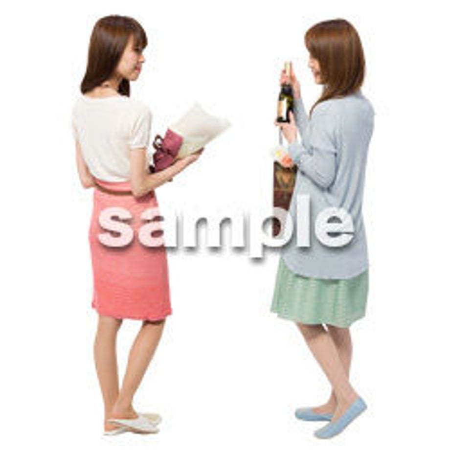 5be13a055f78662f3e000103