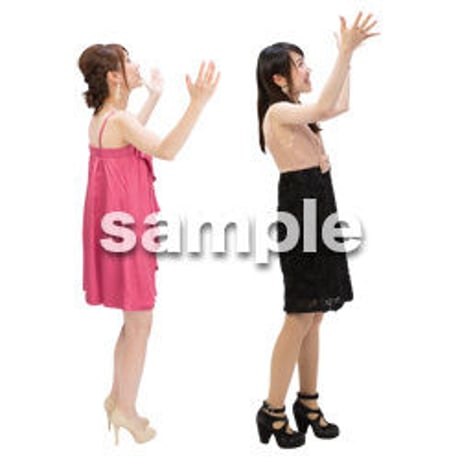 Cutout People　パーティー　DD_113