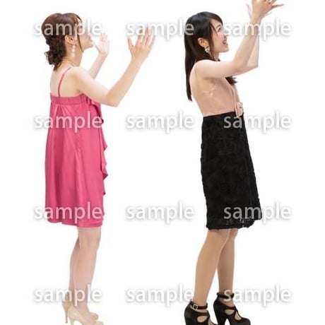 Cutout People　パーティー　DD_113