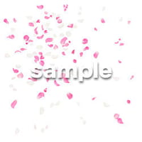 Cutout People　パーティー　バラの花びら　DD_Flower