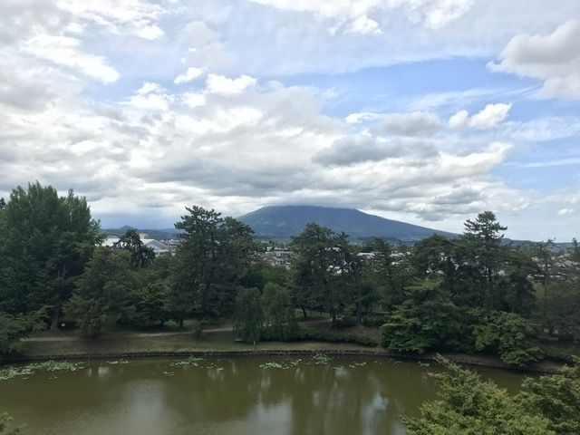 青森弘前 天然素材 あけび蔓細工 かごバック 織編 | BRILLANTE IL