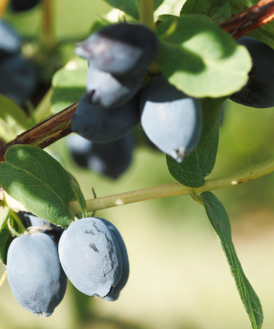 5b3b78fb5f786644b1000971