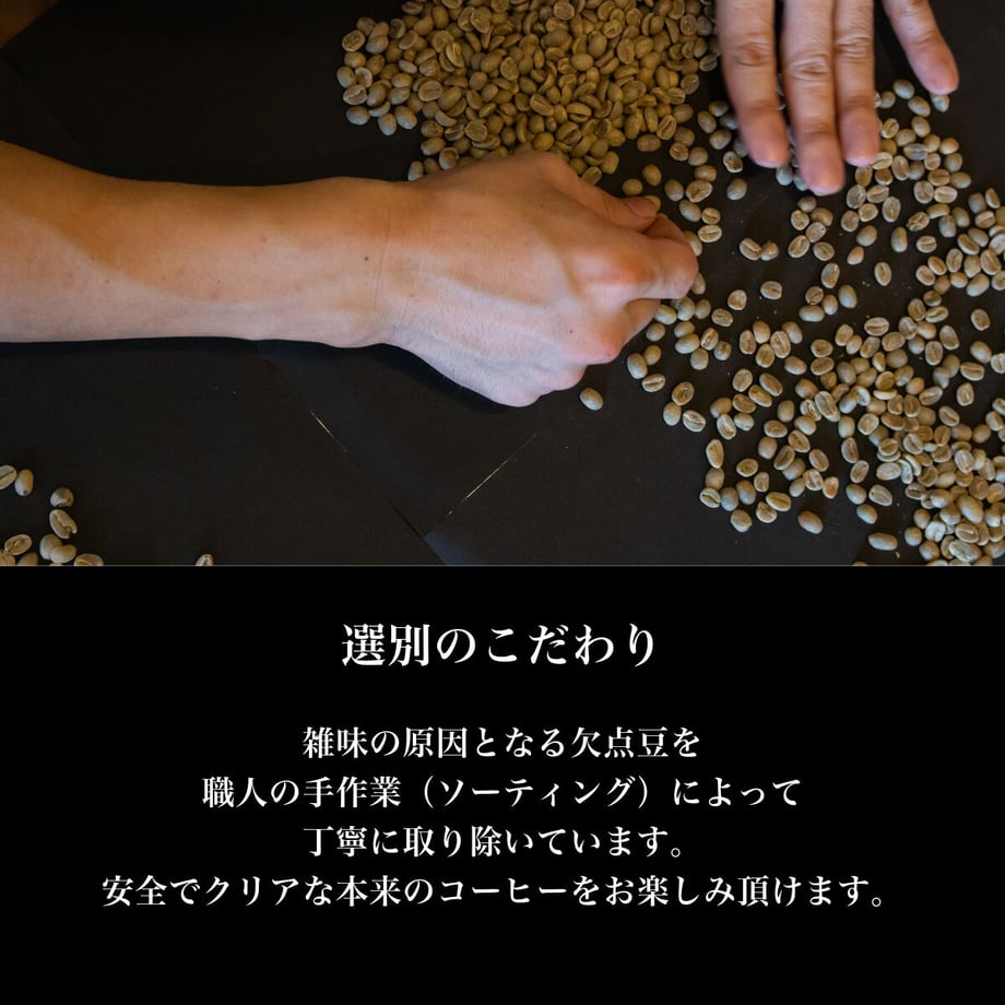 65fd1440edfc4e01736676a0