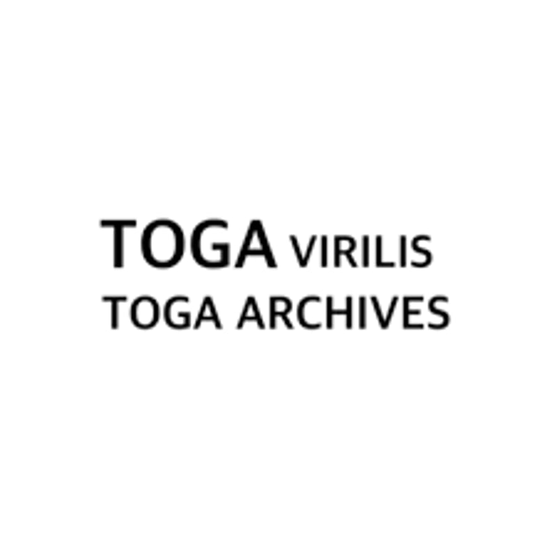 TOGA virilis / SUITING WOOL PANTS | glitter ON TOGA virilis / SUITING WOOL PANTS | glitter ON