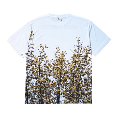 ノントーキョー | STORES ノントーキョー | STORES