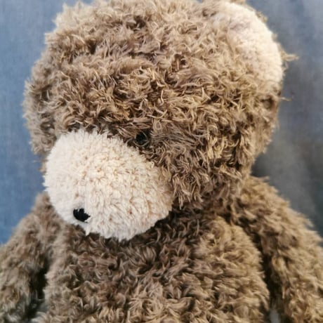 〈Bunnies By The Bay〉"Bear" stuffed toy