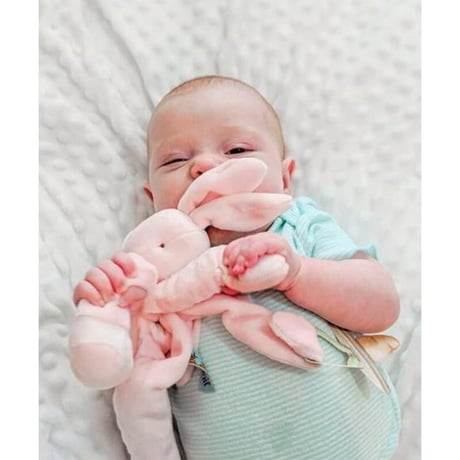 〈Bunnies By The Bay〉"Rabbit" stuffed toy (Blue)