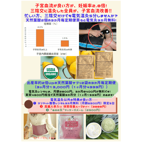 食事性葉酸サプリ２袋（8粒800㎍）の3ヵ月分＋火を使わない温灸   3カ月毎定期便(院でお渡し)