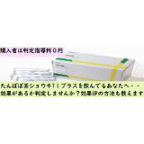 たんぽぽ茶ショウキT１プラス１箱（30袋）（院で手渡し）