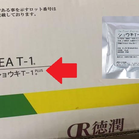 たんぽぽ茶ショウキT１プラス4箱（1ケース）