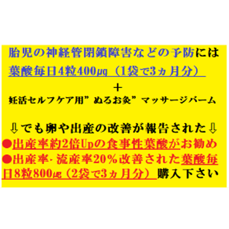 食事性葉酸サプリ1袋【3ヵ月分の3カ月毎定期便(毎日4粒400㎍)】：郵送