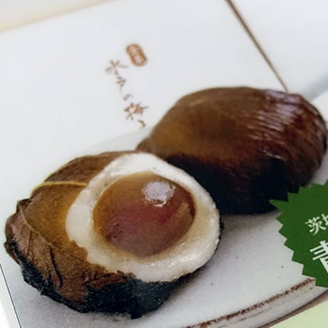 金亀　水戸の梅香る