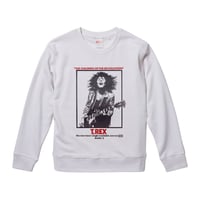 Beach Boys-Brian Wilson /ビーチボーイズ-ブライアン・ウィルソン】5 Beach Boys-Brian Wilson /ビーチボーイズ-ブライアン・ウィルソン】5