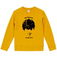 【syd barrett is my love/シド・バレット】9.3オンス スウェット/YL/SW-404