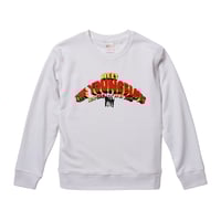 Beach Boys-Brian Wilson /ビーチボーイズ-ブライアン・ウィルソン】5