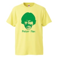 Beach Boys-Brian Wilson /ビーチボーイズ-ブライアン・ウィルソン】5