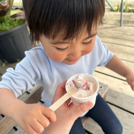 河野園芸　尾道いちごのアイス　6個セット