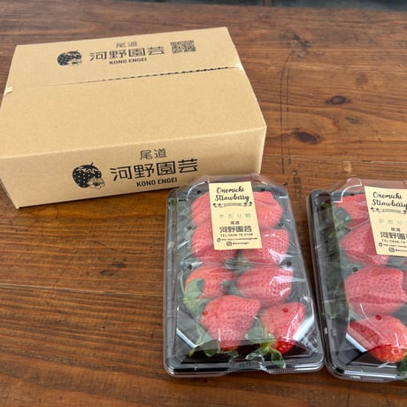 河野園芸のこだわり苺　　270g X 2パック