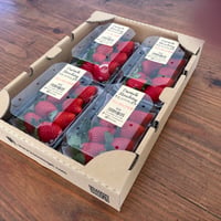 河野園芸のこだわり苺　　160g X 4パック