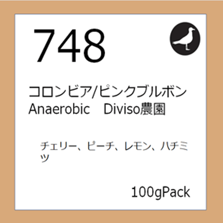 748  コロンビア/ピンクブルボン Anaerobic　Diviso農園