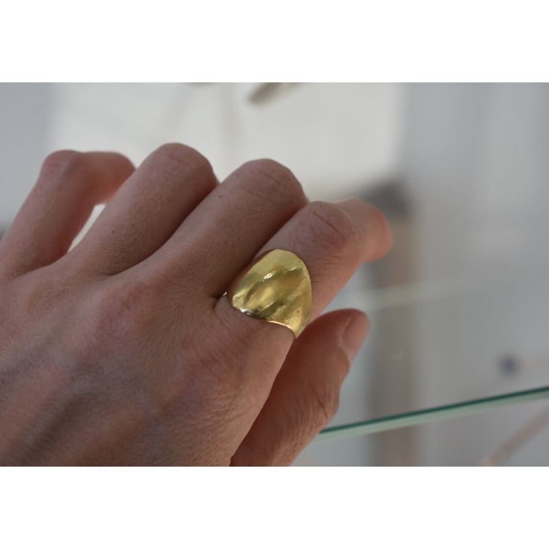 noguchi bijoux /RING | mysweetdog