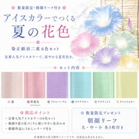 【数量限定】アイスカラーでつくる夏の花色 染正絹羽二重≪4匁≫ 6色セット｜ 朝顔リーフ付き