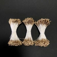 リースゴールドペップ  3束×1袋