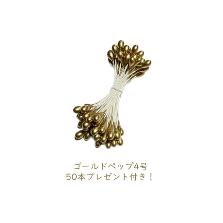 【数量限定品】染正絹羽二重6匁5色セット ～ゴールデンハーベスト～+プレゼント付き