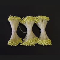 素玉ペップ1号  3束/1袋  黄