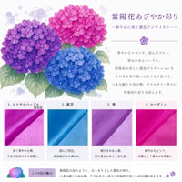 【数量限定品】染正絹羽二重6匁 紫陽花あざやか彩り 4色セット　プレゼント付き　※限定色入