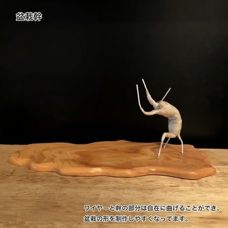 盆栽幹