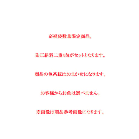 【数量限定品】染正絹羽二重4匁  おまかせ5色セット