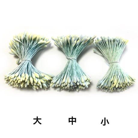 菜の花ペップ　大　2束/1袋